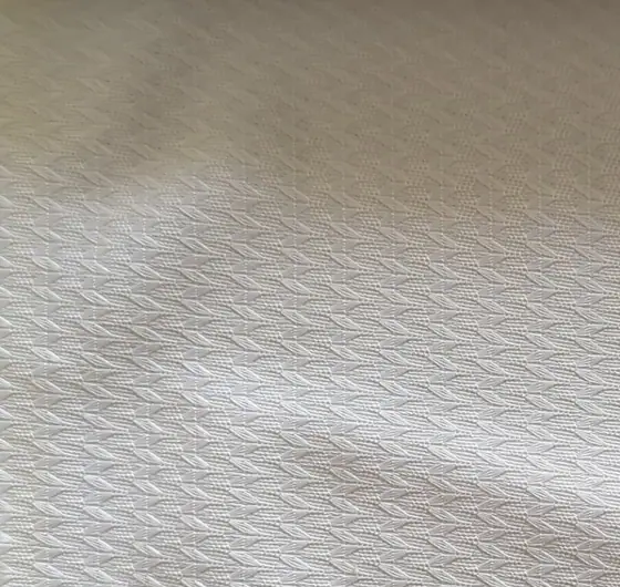Ras Leela fabric sample, Knits & textured